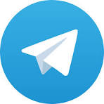 Betgoodwin Telegram Bot
